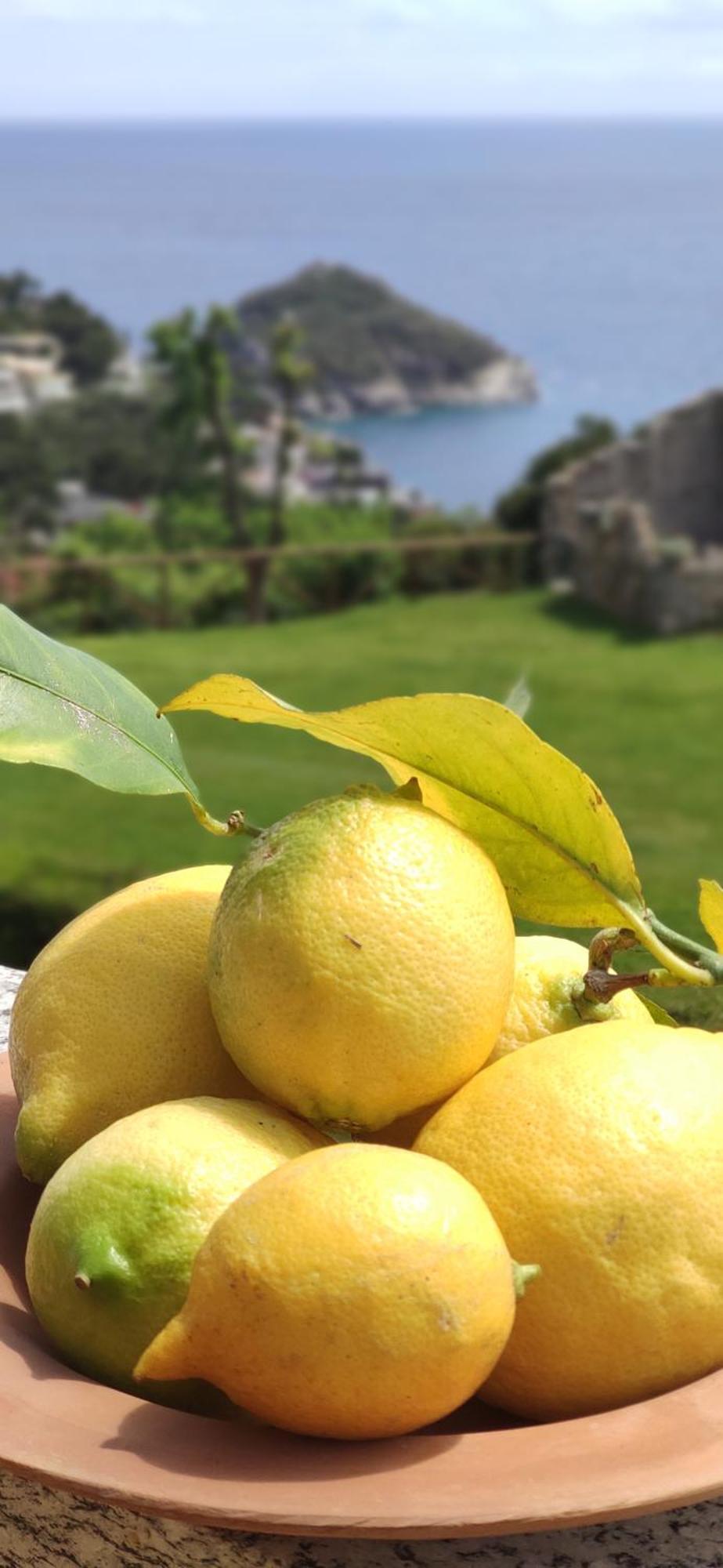 Il Giardino Sull'Isola - Appartamento - Bergeggi Dış mekan fotoğraf