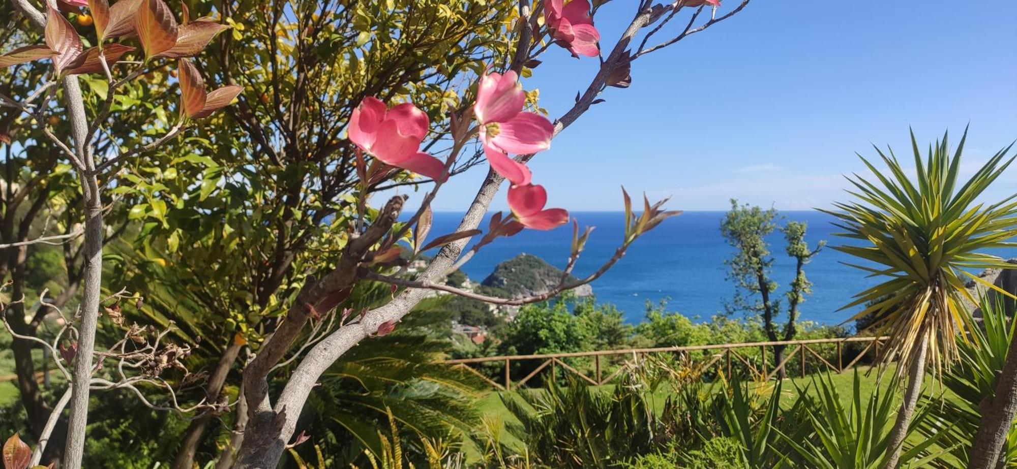 Il Giardino Sull'Isola - Appartamento - Bergeggi Dış mekan fotoğraf